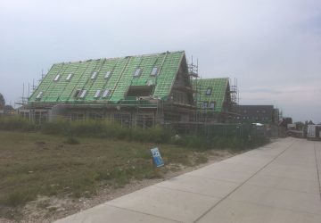 TIFAHUISKES (22)